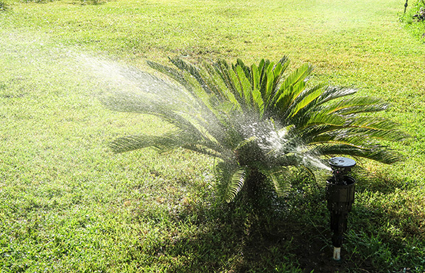 Irrigation Blog - Greenstar Irrigation & Landscaping