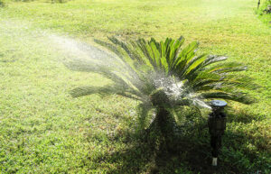 Irrigation Pump Replacement & Repair