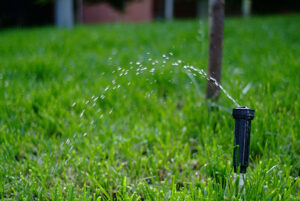Dos and Don'ts for Lawn Sprinkler Repair This Spring